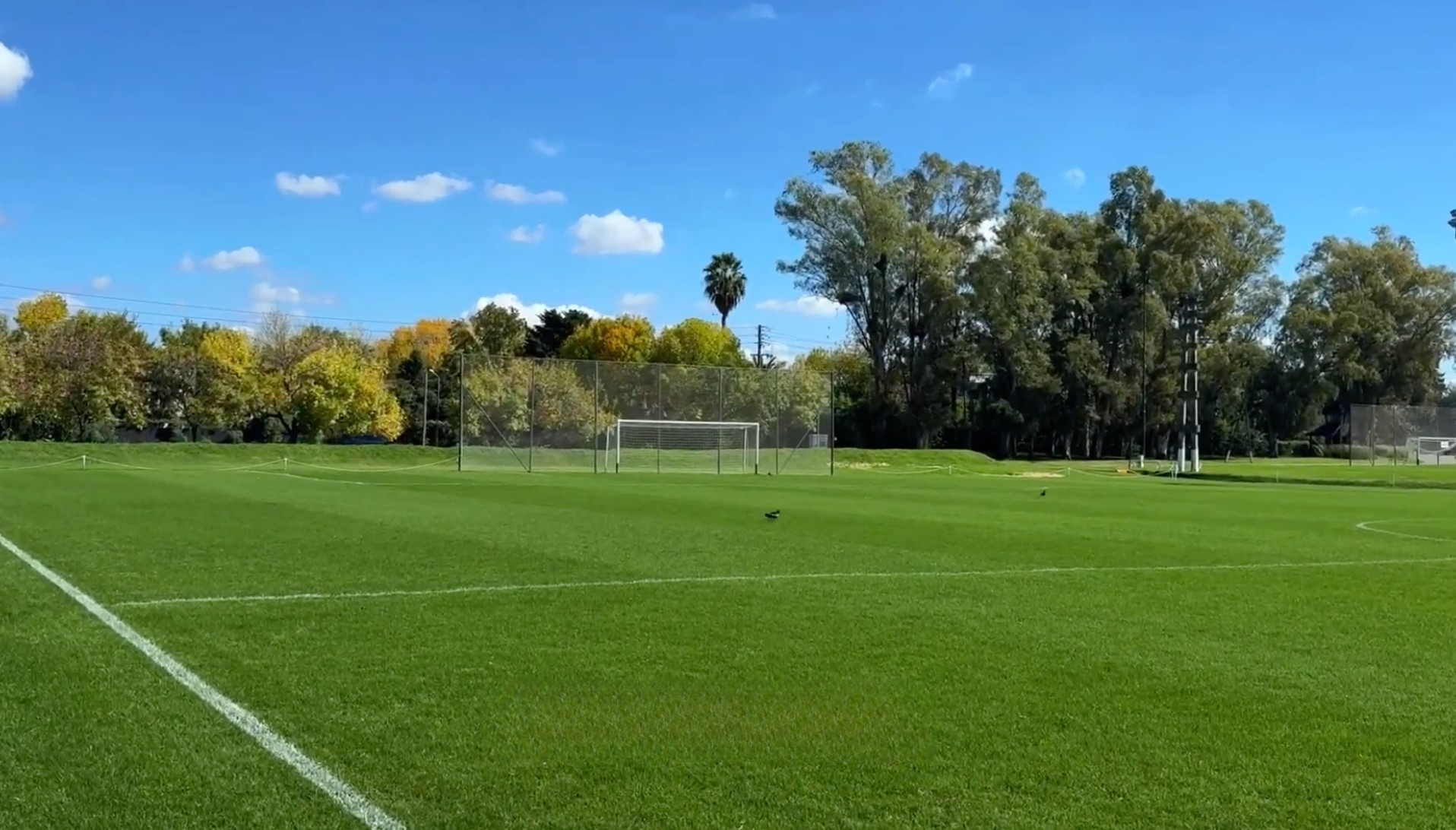 Cancha de fútbol en San Diego con amplios espacios verdes y áreas deportivas