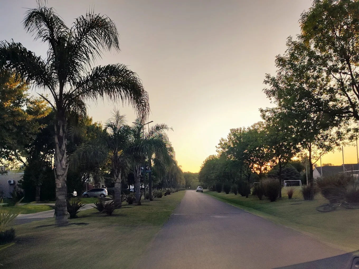 Calle arbolada dentro del Barrio Cerrado Santa Ana en Francisco Álvarez